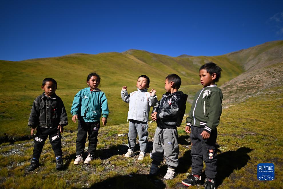 微乐斗地主记牌器下载